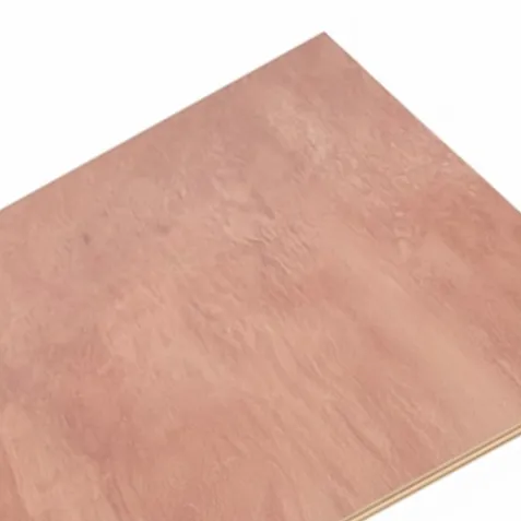 Ván ép mặt Bintangor