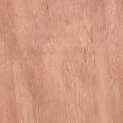 Ván ép mặt Bintangor