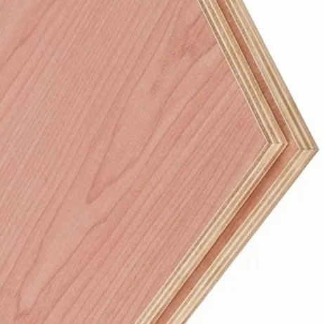 Ván ép mặt Bintangor